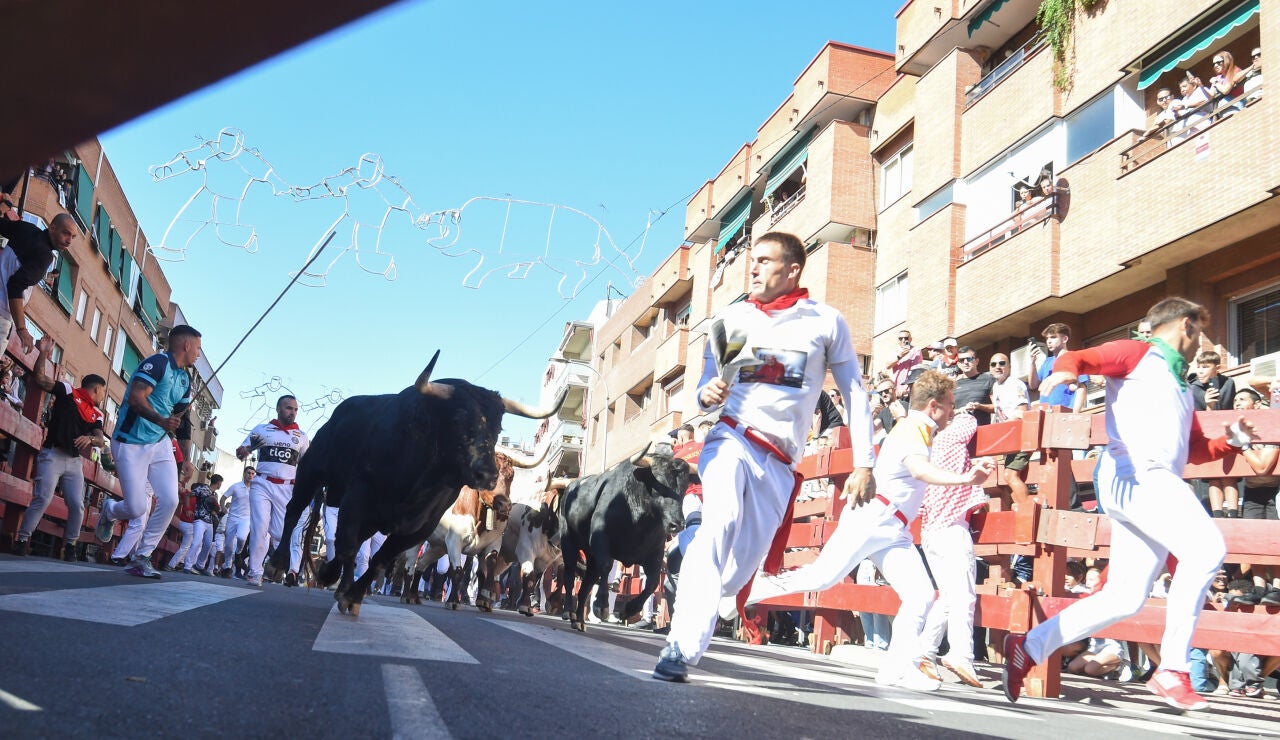 Sexto encierro de las fiestas de San Sebasti&aacute;n de los Reyes (Madrid)
