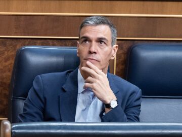 S&aacute;nchez en el Congreso