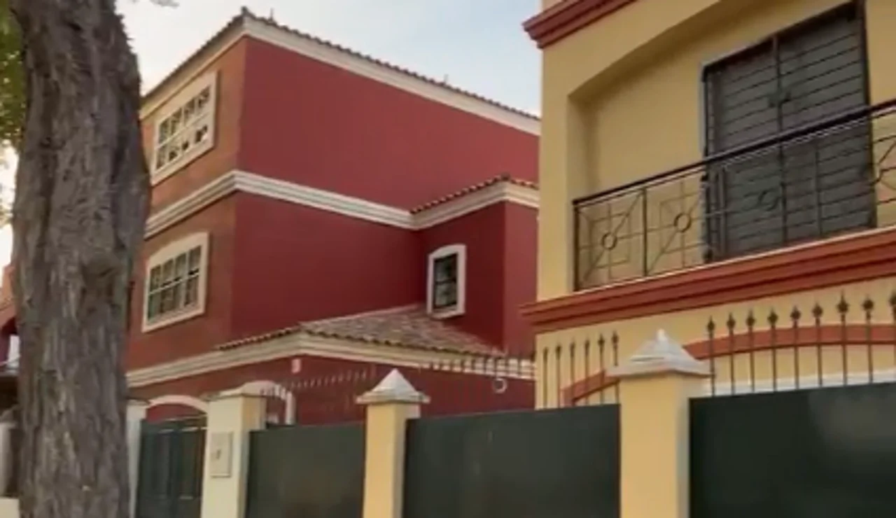 Imagen de la zona del Aljarafe dónde están teniendo lugar los hurtos.
