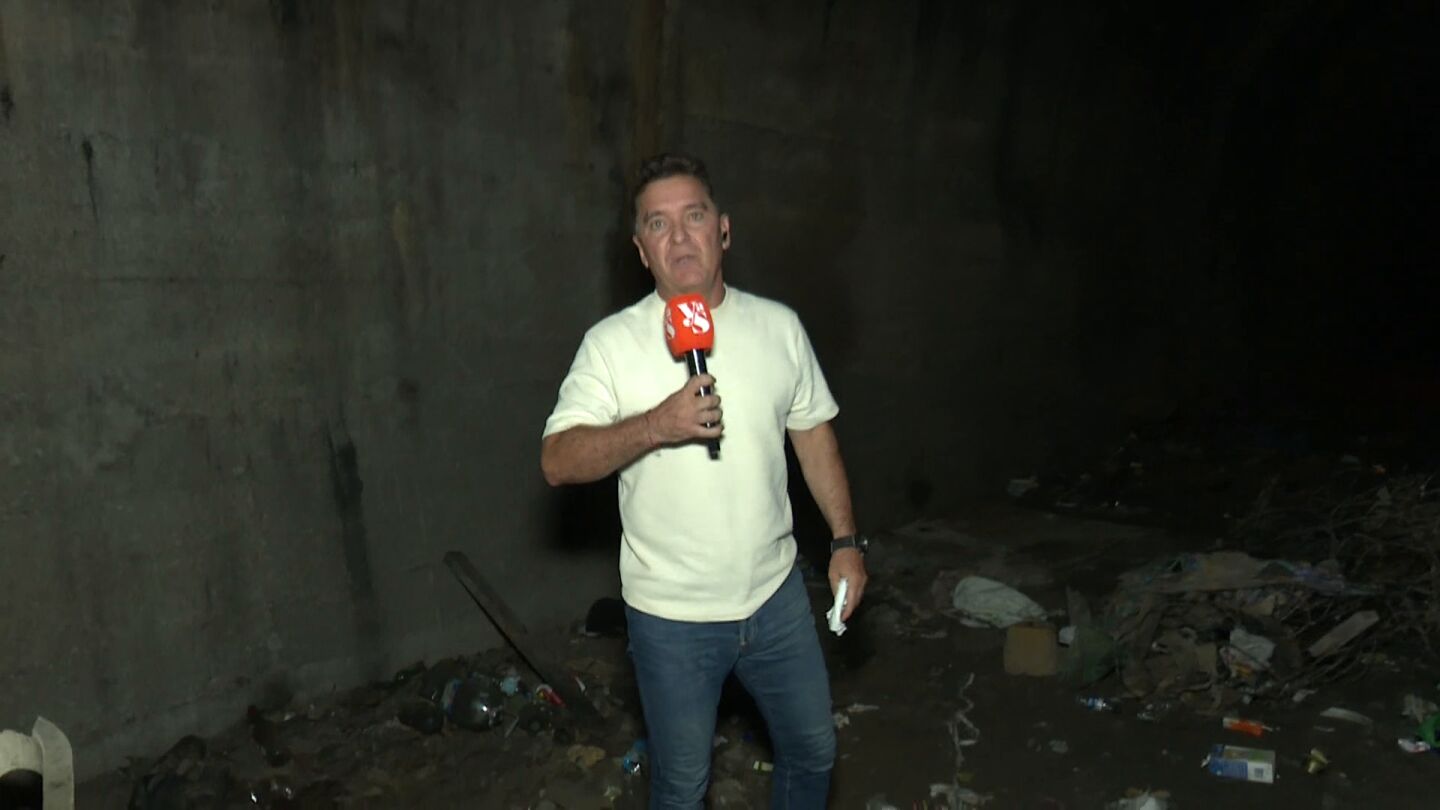 Carlos Qu&iacute;lez