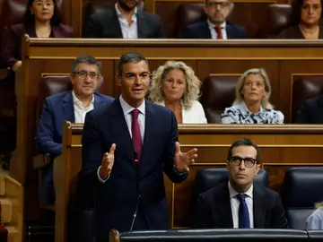 El presidente del Gobierno, Pedro Sánchez, interviene durante una sesión de control del Congreso. El presidente del Gobierno, Pedro Sánchez, interviene durante una sesión de control del Congreso.