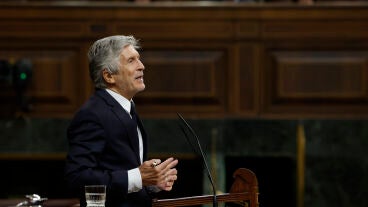El ministro de Interior, Fernando Grande Marlaska, en el Congreso de los Diputados