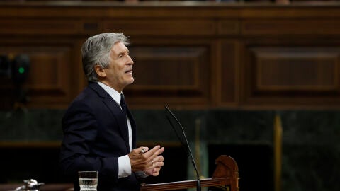 El ministro de Interior, Fernando Grande Marlaska, en el Congreso de los Diputados