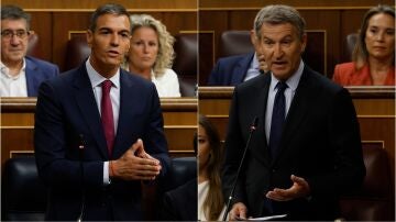Pedro S&aacute;nchez y Alberto N&uacute;&ntilde;ez Feij&oacute;o, durante la primera sesi&oacute;n de control del Congreso del curso pol&iacute;tico