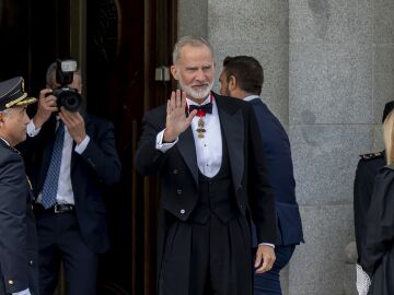 Felipe VI, rey de Espa&ntilde;a