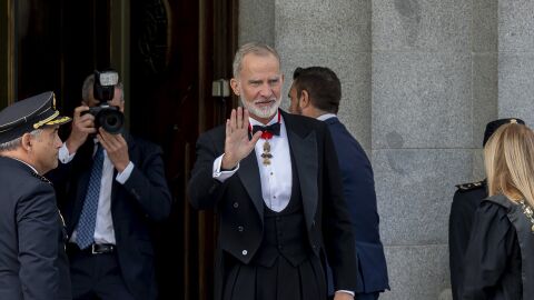 Felipe VI, rey de Espa&ntilde;a