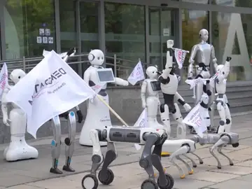 Robots se concentran para frenar a la IA en Polonia. Robots se concentran para frenar a la IA en Polonia.
