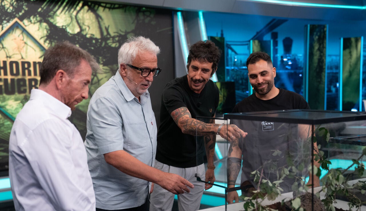 Ciencia Marron