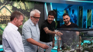 La ciencia más salvaje de Marron: Insectos y arácnidos de todo el planeta llegan al plató