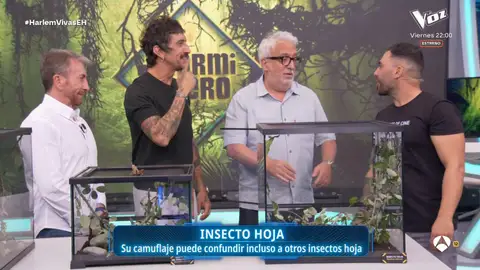 La ciencia más salvaje de Marron: Insectos y arácnidos de todo el planeta llegan al plató La ciencia más salvaje de Marron: Insectos y arácnidos de todo el planeta llegan al plató