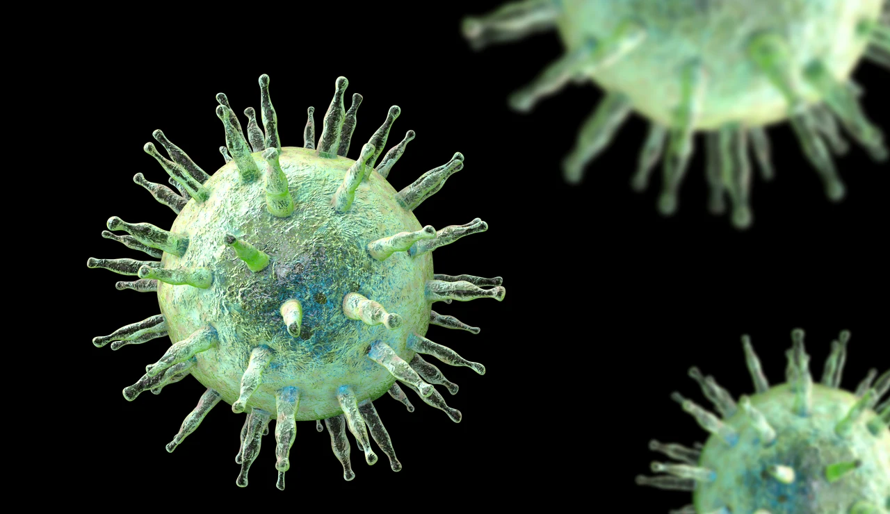 Virus de Epstein-Barr