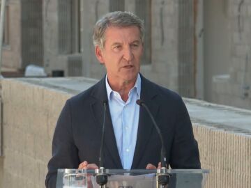 El l&iacute;der del PP, Alberto N&uacute;&ntilde;ez Feij&oacute;o