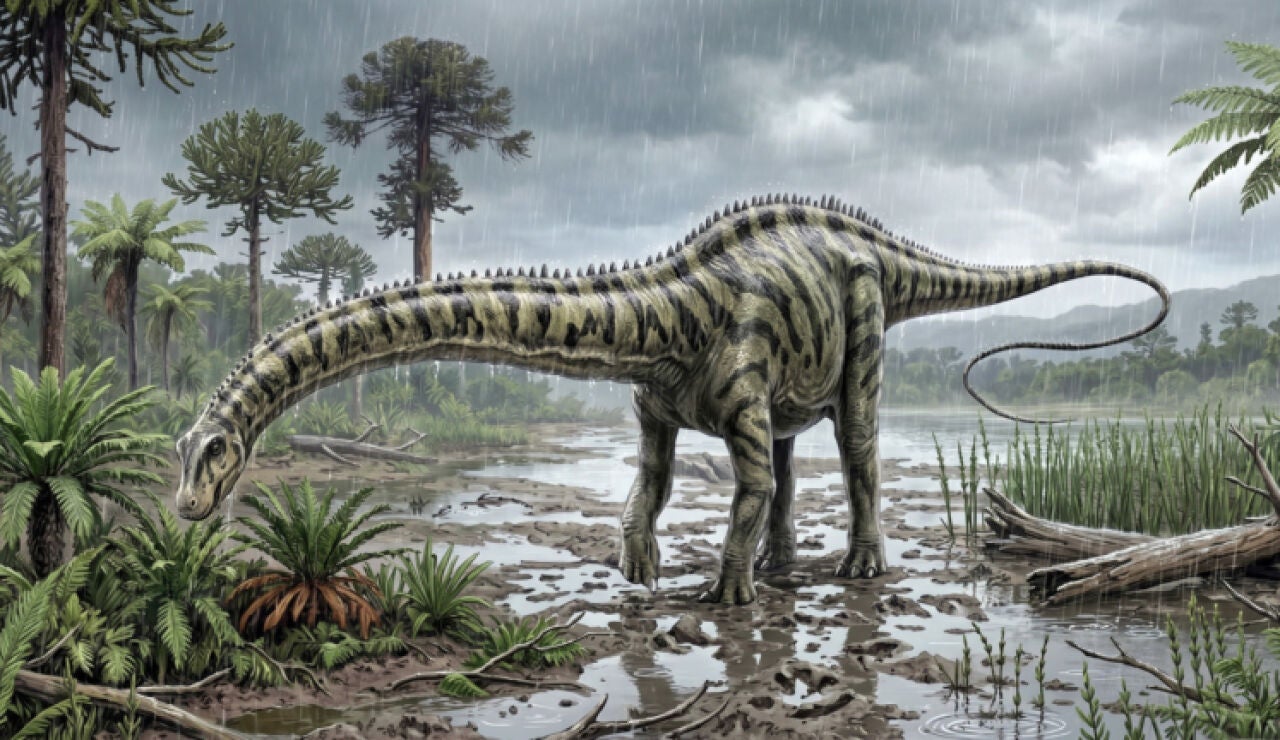 Identifican en Teruel el primer 'Diplodocus' que vivi&oacute; en el continente europeo