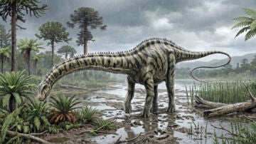 Identifican en Teruel el primer 'Diplodocus' que vivi&oacute; en el continente europeo