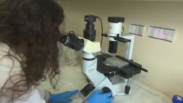El tesoro oculto del chicharro: la ciencia acad&eacute;mica halla en este pescado un escudo frente a c&eacute;lulas cancer&iacute;genas