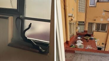 Imagen del narcopiso en Barcelona