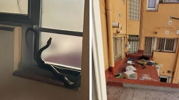 Imagen del narcopiso en Barcelona