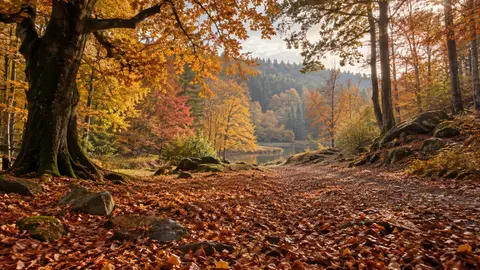 Otoño Otoño