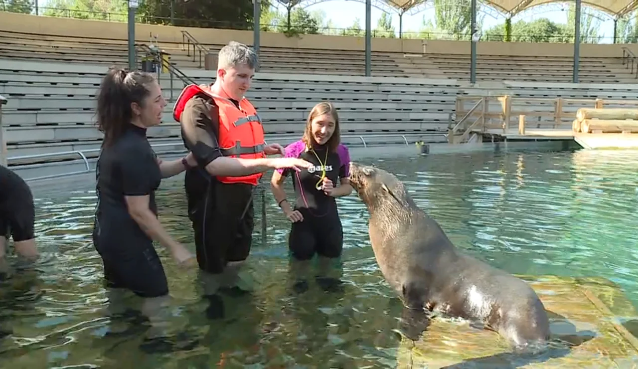 Bigotes y aletas que sanan: el poder terapéutico de los osos marinos. Un equipo de Espejo Público se sumerge en esta experiencia junto a usuarios y monitoras.