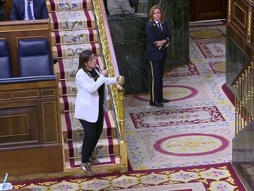 V&Iacute;DEO Del momento en la que expulsan del Congreso a la diputada del PP Ana V&aacute;zquez por llevar un "arma"