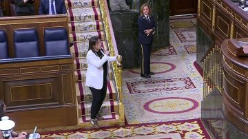V&Iacute;DEO Del momento en la que expulsan del Congreso a la diputada del PP Ana V&aacute;zquez por llevar un "arma"