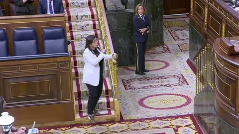 VÍDEO Del momento en la que expulsan del Congreso a la diputada del PP Ana Vázquez por llevar un "arma" VÍDEO Del momento en la que expulsan del Congreso a la diputada del PP Ana Vázquez por llevar un "arma"
