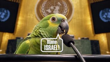 V&iacute;deo de Israel