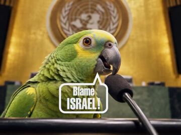 V&iacute;deo de Israel
