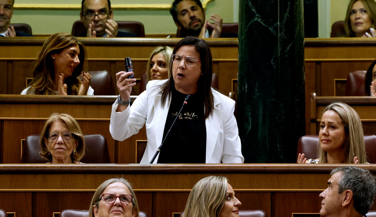 La diputada del PP Ana V&aacute;zquez con un espray de gas pimienta en el Congreso