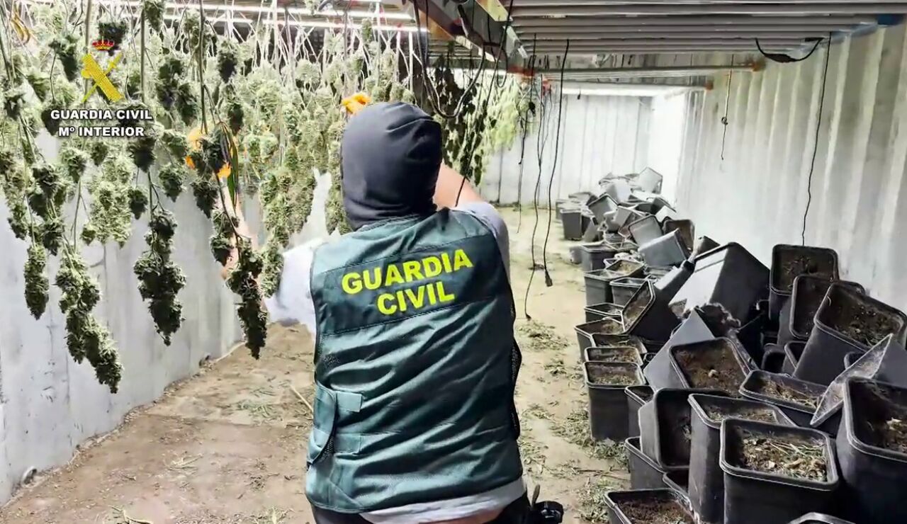 Desmantelada en Granada una plantaci&oacute;n de marihuana oculta en contenedores mar&iacute;timos soterrados
