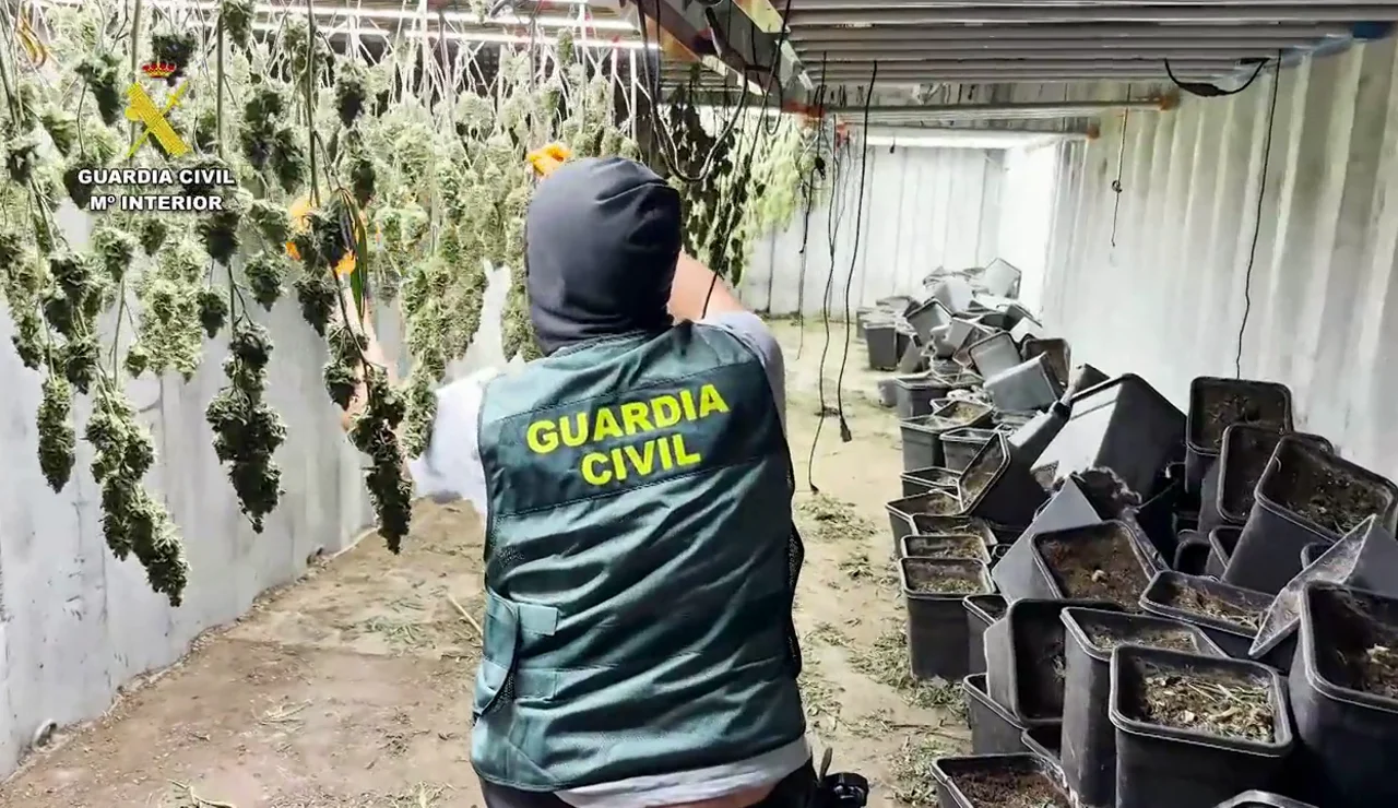 Desmantelada en Granada una plantación de marihuana oculta en contenedores marítimos soterrados