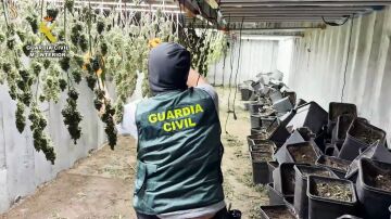 Desmantelada en Granada una plantaci&oacute;n de marihuana oculta en contenedores mar&iacute;timos soterrados