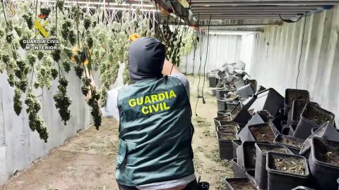 Desmantelada en Granada una plantaci&oacute;n de marihuana oculta en contenedores mar&iacute;timos soterrados