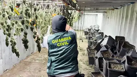 Desmantelada en Granada una plantación de marihuana oculta en contenedores marítimos soterrados Desmantelada en Granada una plantación de marihuana oculta en contenedores marítimos soterrados