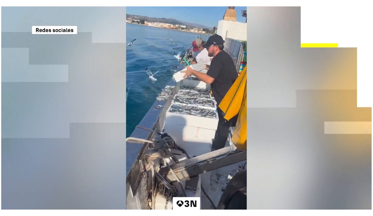 Pescadores de M&aacute;laga tiran una tonelada de boquerones