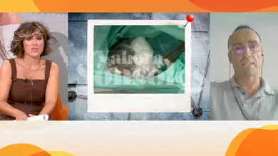 La policía encontró más de un kilo de hachís en el congelador de Verónica Hidalgo La policía encontró más de un kilo de hachís en el congelador de Verónica Hidalgo