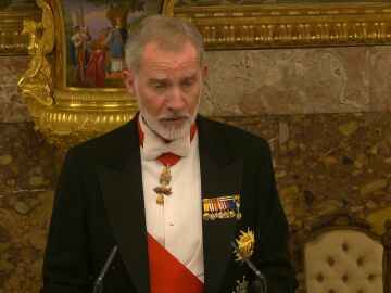 Rey Felipe VI