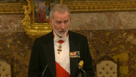 Rey Felipe VI