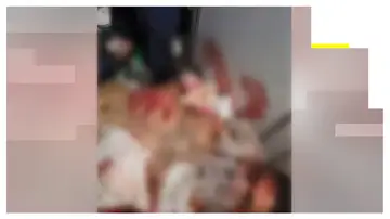 Imágenes del secuestro en el vuelo de Dubái a Israel Imágenes del secuestro en el vuelo de Dubái a Israel