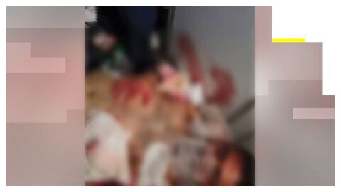 Im&aacute;genes del secuestro en el vuelo de Dub&aacute;i a Israel