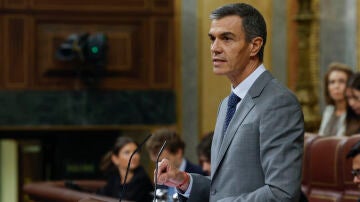 Pedro S&aacute;nchez en el Congreso