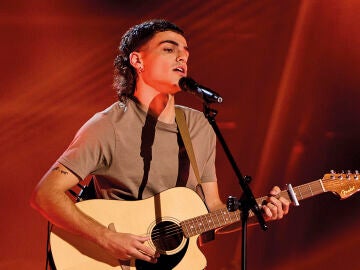 Ra&uacute;l en La Voz