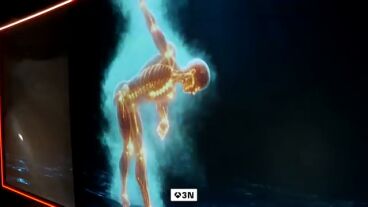 Un viaje inmersivo por el cuerpo humano