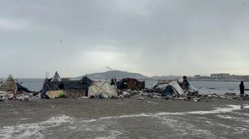 Imagen del Guano