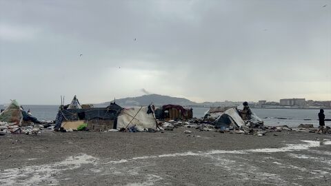 Imagen del Guano