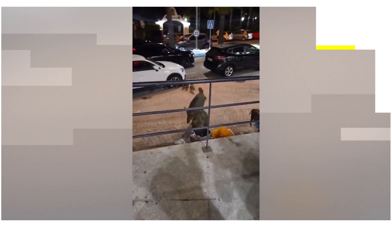 Jabal&iacute;es comiendo en una calle de Marbella