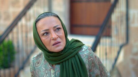 Fidan descubre el secreto de Zerrin