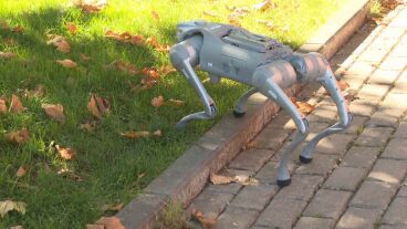 Perro robot para la agricultura