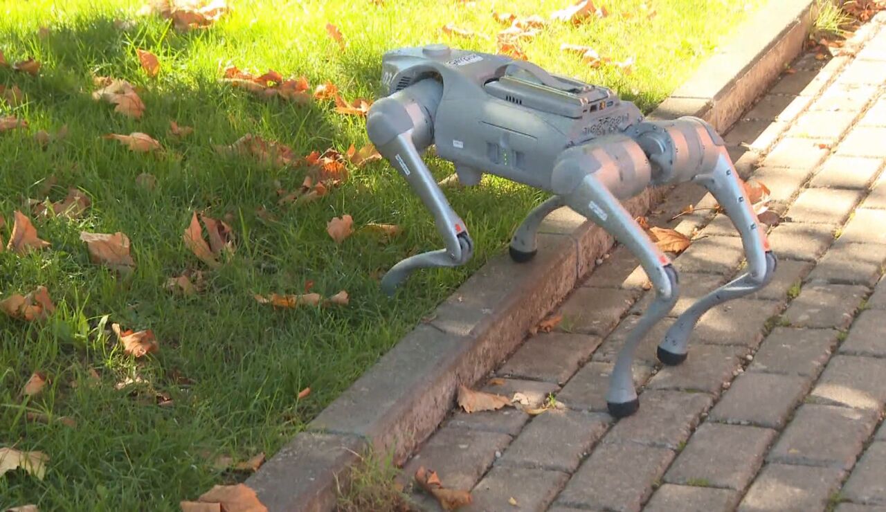 Perro robot para la agricultura