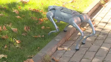 Perro robot para la agricultura Perro robot para la agricultura